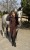 IMG_4145.jpeg